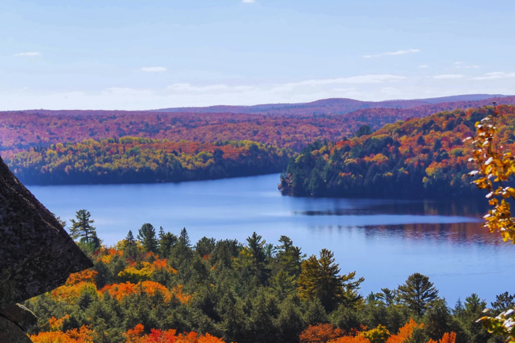 Algonquin Provincial Park