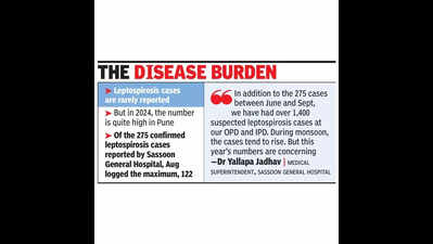 After dengue & chikungunya surge, leptospirosis cases worry docs in Pune