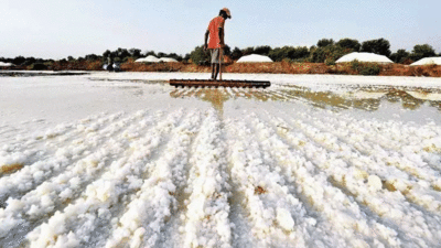 Maharashtra allots prime salt pan land to Veer Savarkar Charitable Trust for educational institute