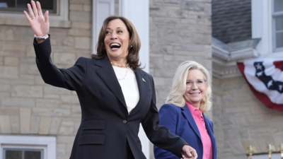 'Terrible vice president': Old clips of Liz Cheney critiquing ‘radically liberal’ Kamala Harris resurface after her endorsement