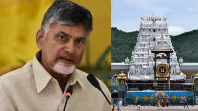 'VIP culture should be reduced in Tirumala': CM N Chandrababu Naidu