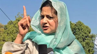 People's Democratic Party leader Iltija Mufti says the incoming J&K government will be a 