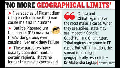 More harmful Malaria parasite seen gaining ground in Maharashtra: Health dept data