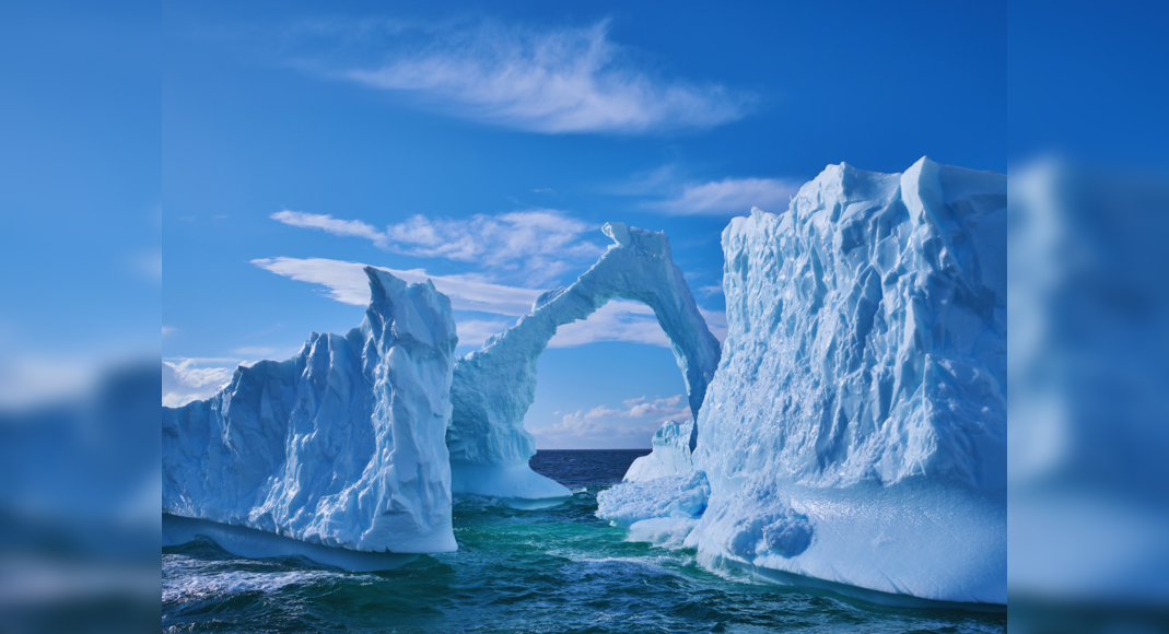 Antarctica is rapidly turning green; find out why it’s troubling