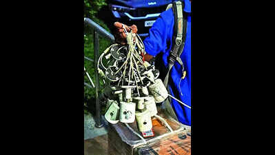 ‘How much time does it take to issue council-poll directive?’