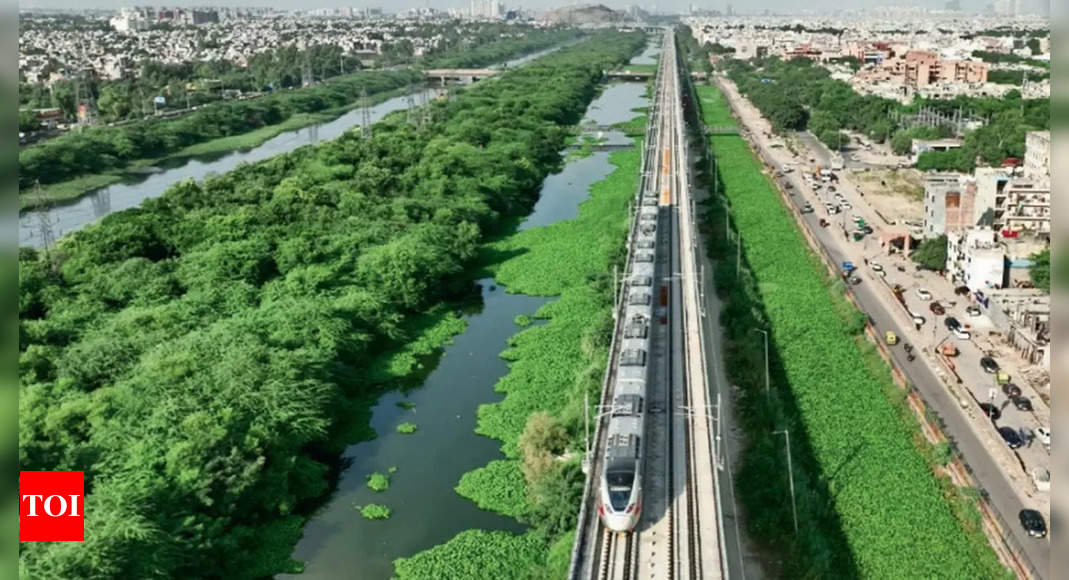 ‘Major milestone’: A push to public transport as Namo Bharat train reaches Delhi | Delhi News