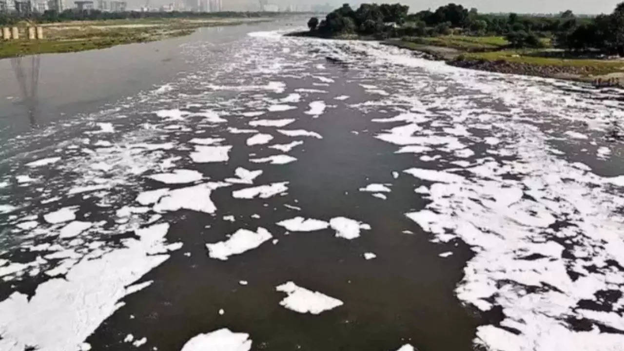 Yamuna river pollution hits record high in Delhi: Faecal coliform levels  soar in September | Delhi News - Times of India