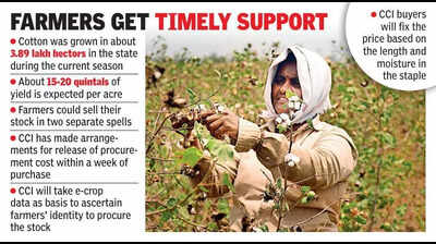 CCI to open 33 procurement centres to purchase cotton from farmers