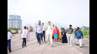 ‘Document, conserve rock formations for future generations’