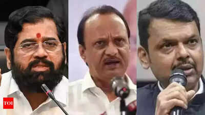 Lok Sabha election redux: Maharashtra govt wades into transfer imbroglio