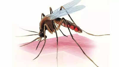 Health dept worried over cases of malaria among migrant labourers