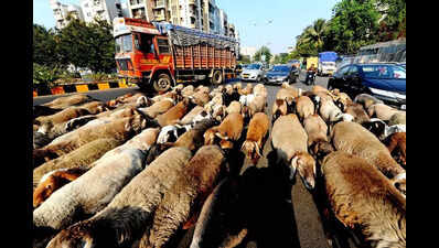 Inviting bids for construction of slaughterhouse in Bhayander sparks protests