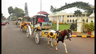 Mysuru Dasara: Tonga, auto drivers make a killing on illuminated roads