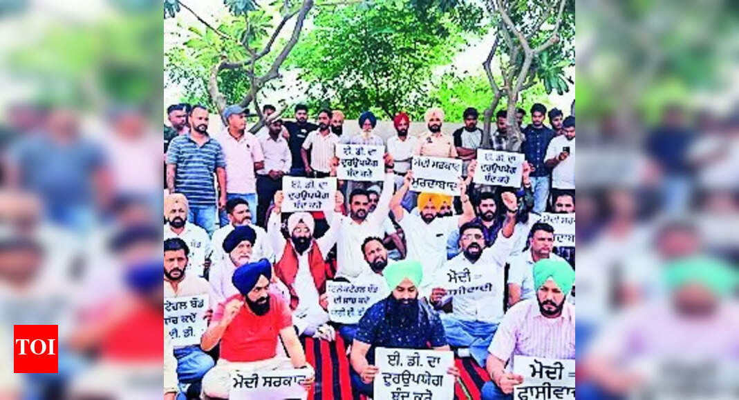AAP: AAP Protest Against ED Raids: Internal Division Revealed as ...