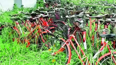 1948 classic ‘Bicycle Thieves' in real: Stepdad uses daughter, 15, to steal over 40 bicycles in Bengaluru