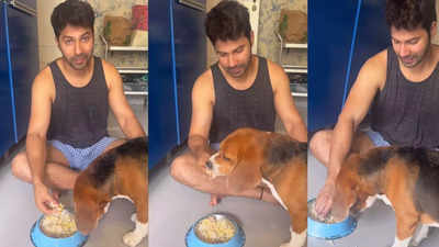 Watch: Varun Dhawan shares an adorable video with his pet dog Joey, says, ‘I can’t feed my daughter; I have to feed him’