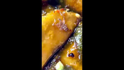 After frog leg, now dead spider in samosa from RNE sweetshop