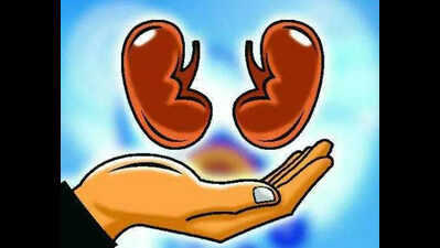 AI-based system identifies right recipient for kidney transplant with 80% accuracy