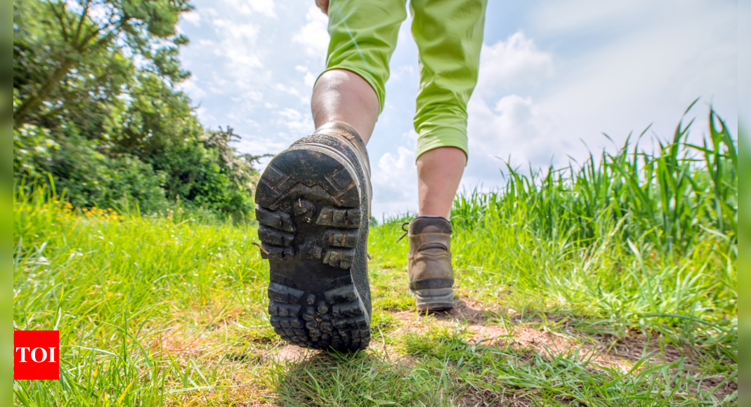 Walking Challenge For Weightloss: 4-week walking challenge: The weight loss results will shock you | – Times of India