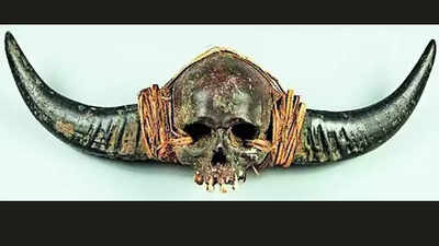 Why Indians are furious with UK auction of ‘Naga human skull’ – Times of India