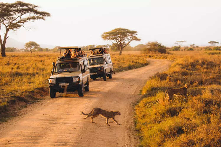 Serengeti National Park, Tanzania