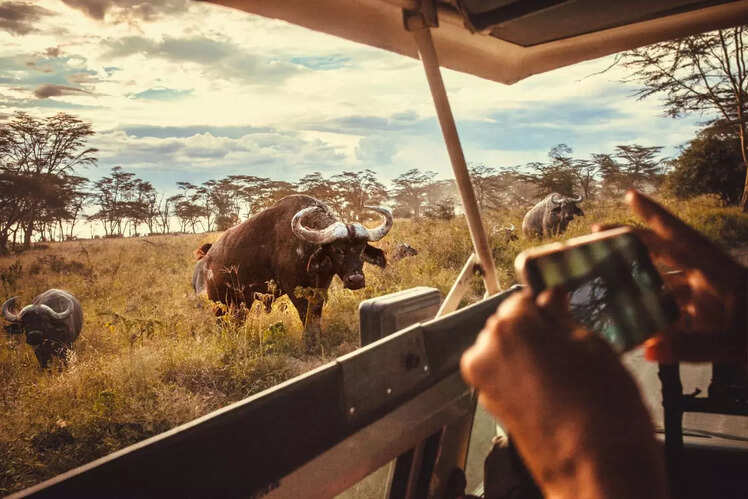 Maasai Mara National Reserve, Kenya