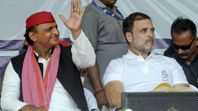 'Alliance with Congress will continue': Akhilesh Yadav after Haryana polls