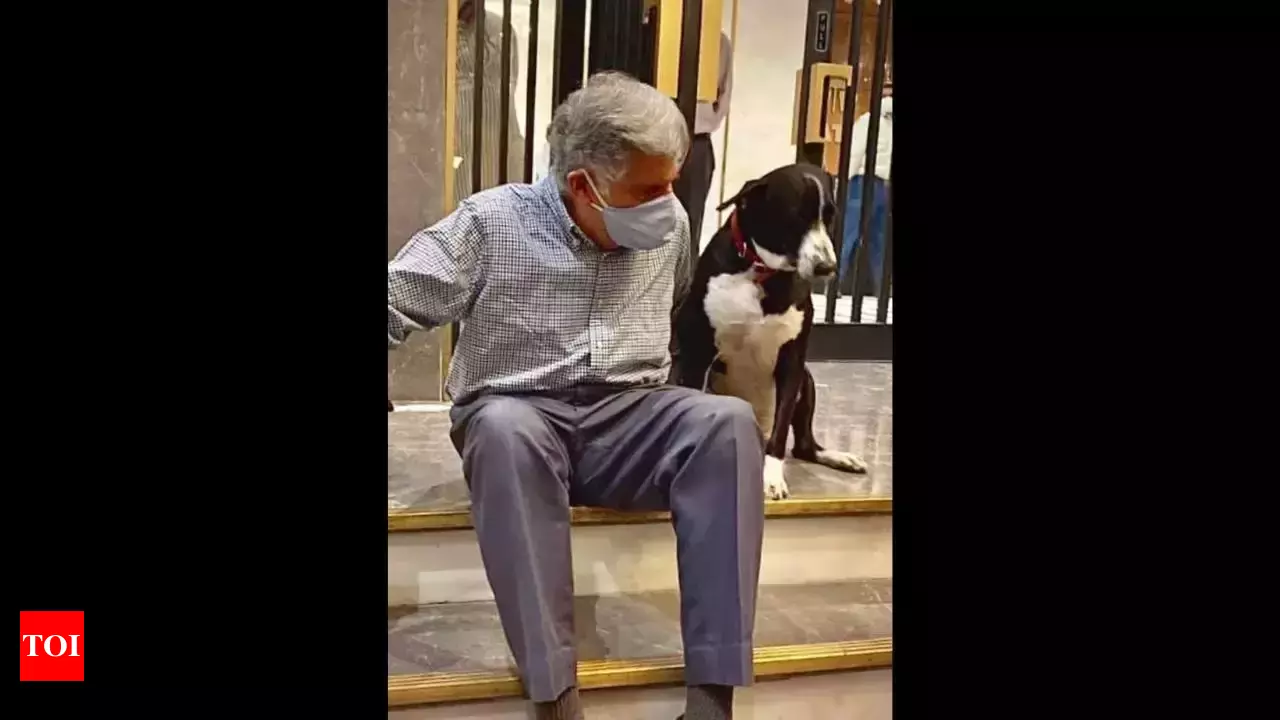 Ratan Tata's dog 'Goa' pays last respects at his funeral | Watch viral  video | - Times of India