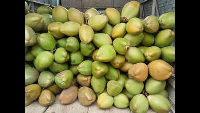 Tender coconut price gets heftier in Bengaluru, but size shrinks