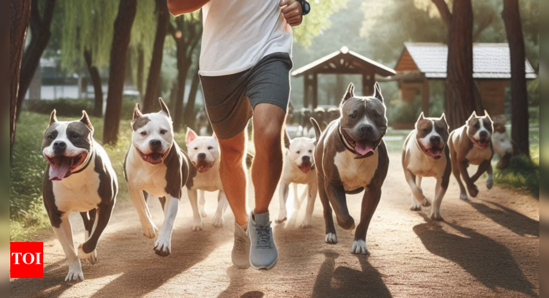 Man killed in a vicious dog attack in New York's Albany Times of India