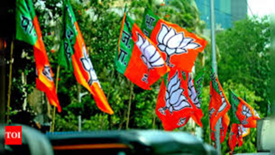 Hindu unity pitch gets louder in BJP’s bid to regain its mojo