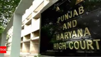 Taking away voters right not to vote unconstitutional: Punjab and Haryana high court