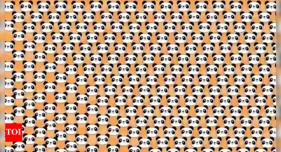 Optical Illusion: Can you spot the odd panda in this image? | - The ...