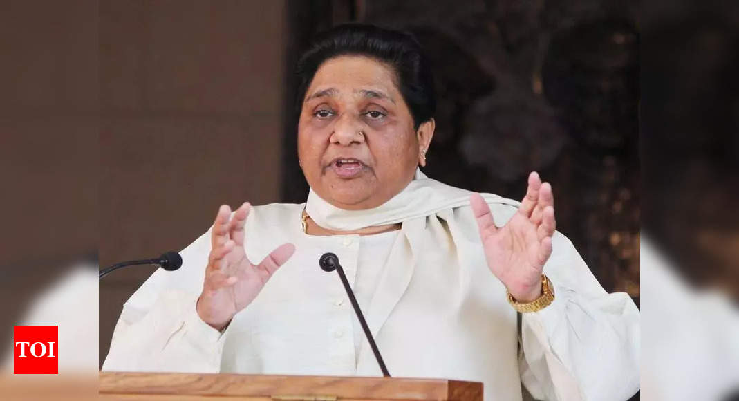 BSP's Mayawati Rules Out Future Alliances