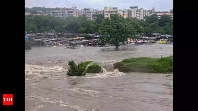 Madhya Pradesh: 5 trapped in mini truck stranded in flood rescued