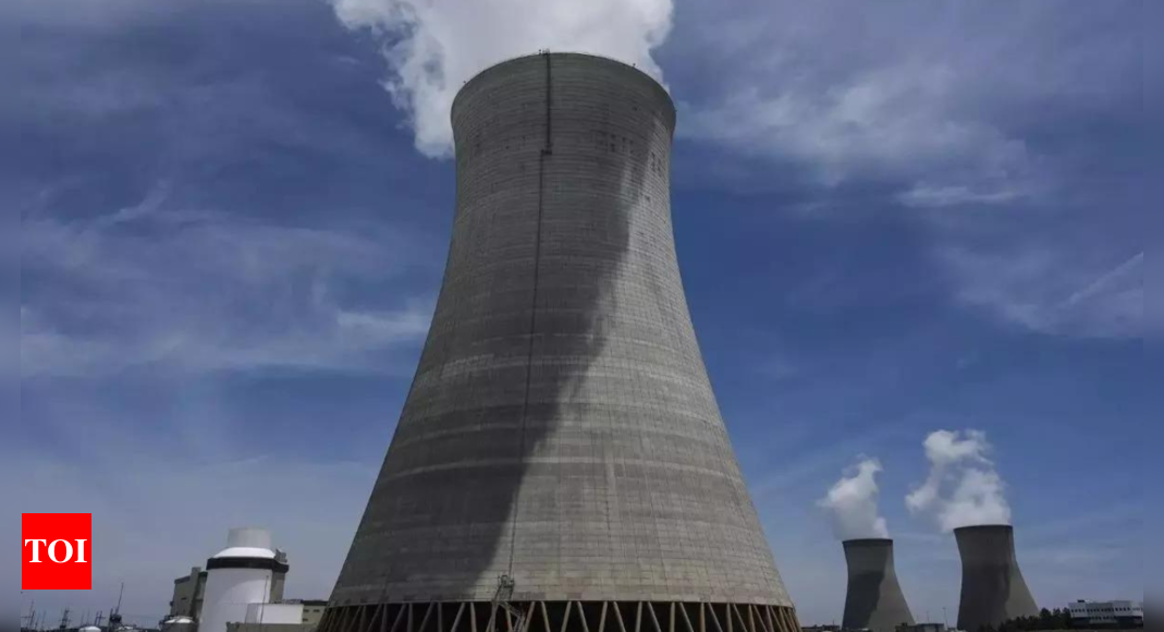 Planned nuclear plant in Kenyan top tourist hub, home to endangered species sparks protest