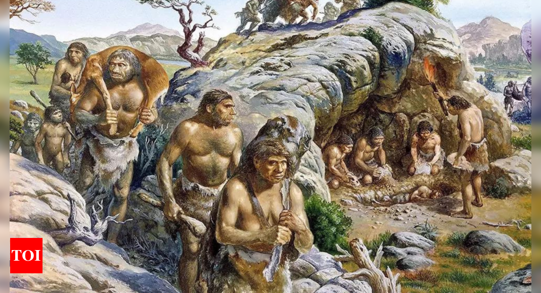 Ancient humans were so good at surviving last ice age they didn’t have to migrate like other species: New study – Times of India