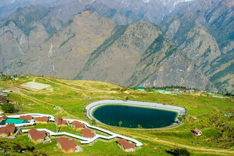 Auli