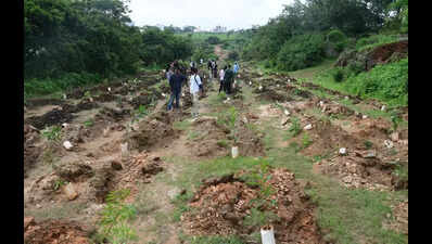 Officials recover 101 acres of encroached forest land in 1 yr