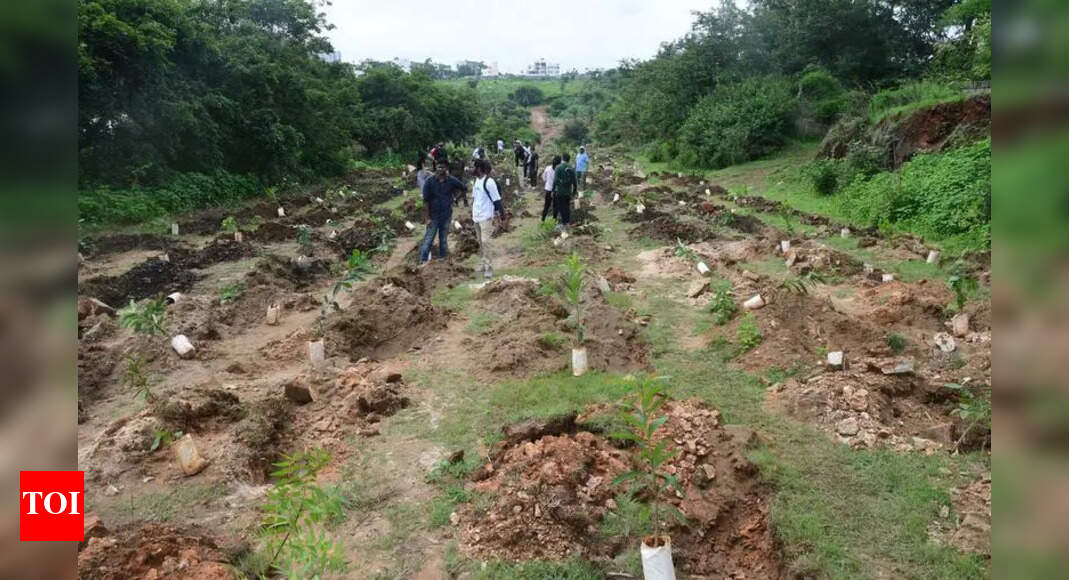 Bengaluru Forest Officials Recover 101 Acres of Encroached Land in 2023 ...