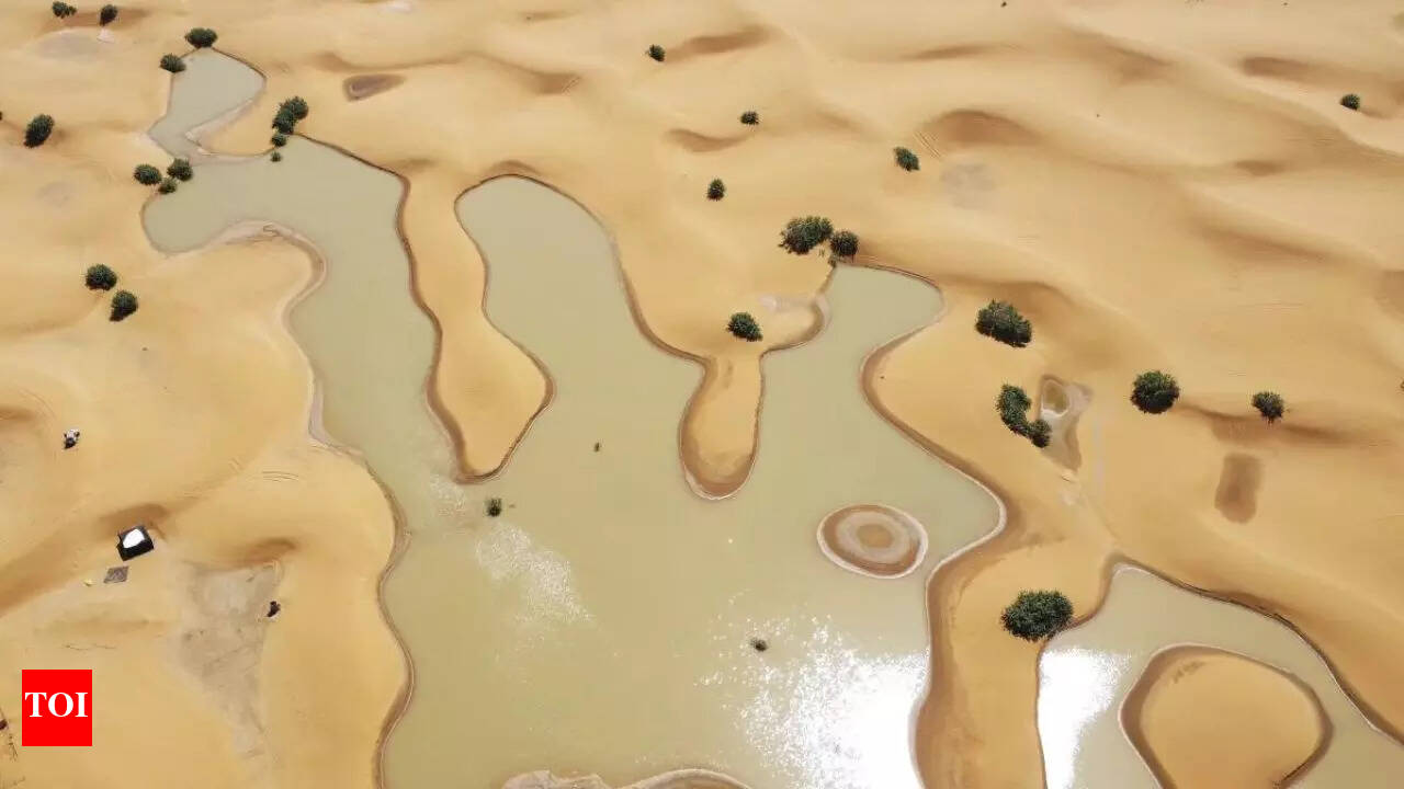 Rare rainfall in the Sahara Desert after 50 years; Here's why