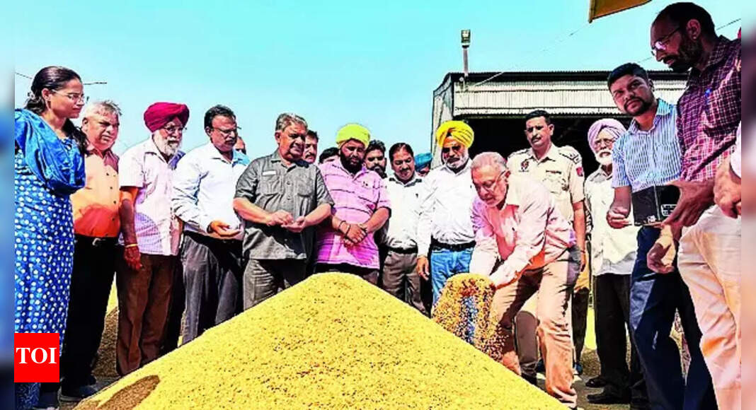 Punjab CM to Meet Union Minister on Rice Protests