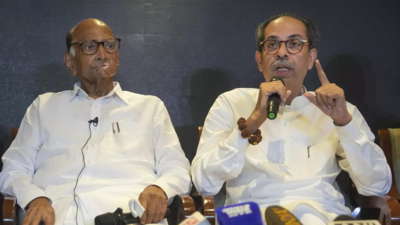 MVA aims to free people from current govt, confident of repeating Lok Sabha success: Sharad Pawar