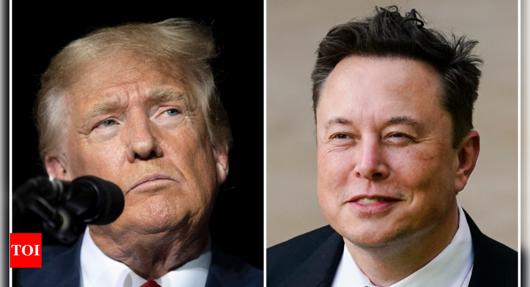 Donald Trump hints at this role for Elon Musk if he wins the presidency again...