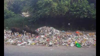 Makeshift dumpsite comes up at DLF 5; will streamline collection, says MCG