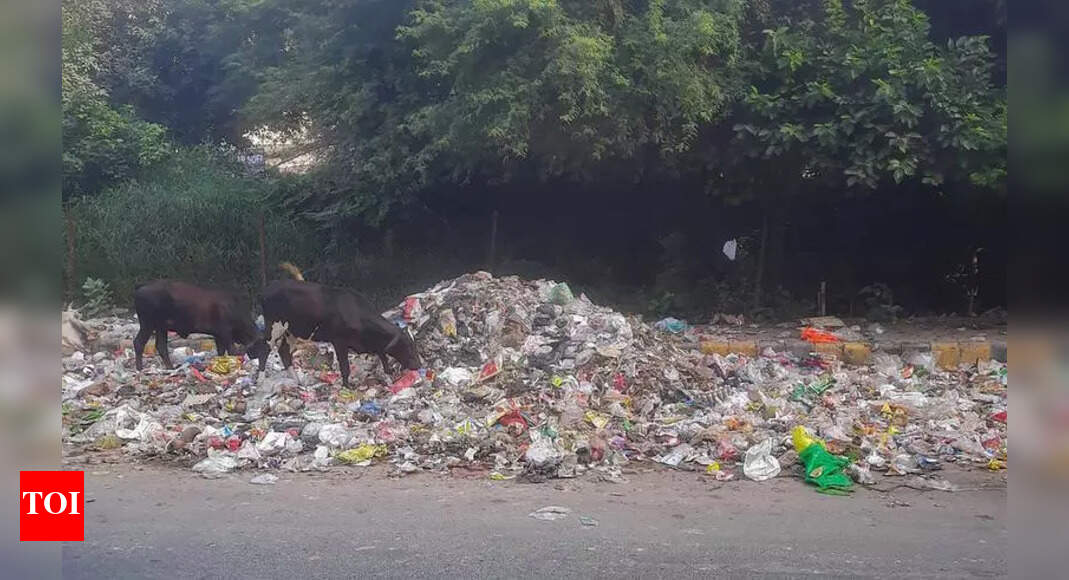 MCG's Response to Garbage Crisis at DLF 5: A Makeshift Dumpsite Sparks ...