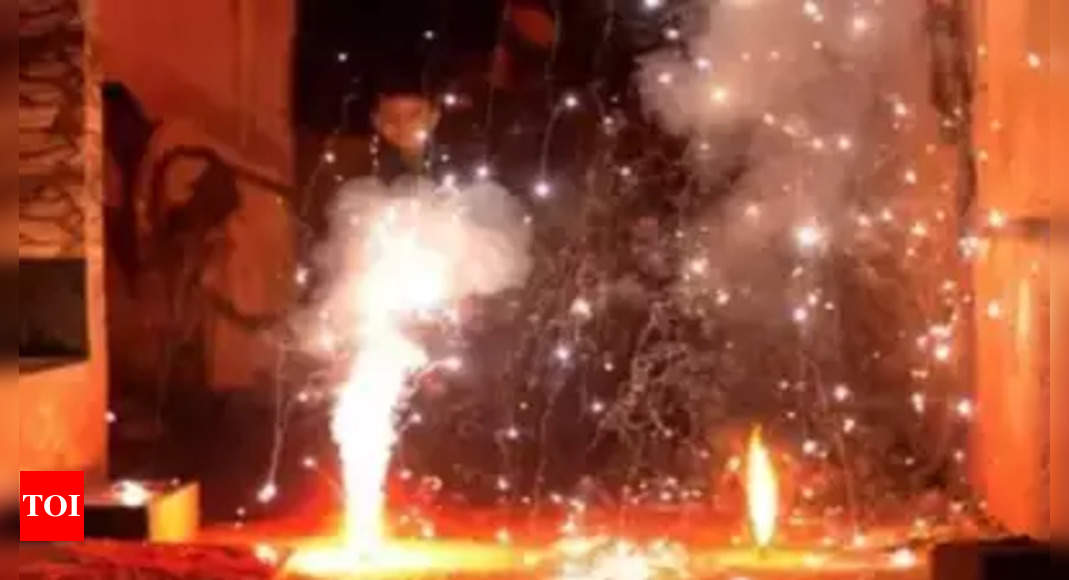 Delhi: DPCC notifies total ban on production, sale, use of firecrackers till January 1, 2025 | Delhi News