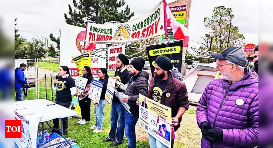 Protests Intensify in Canada: Calls for Extension of Postgraduate Work Permits Grow Louder | Chandigarh News – Times of India