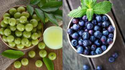 Blueberry vs Amla: Which is a better fruit for the skin?