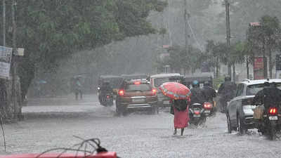 Heavy rains lash Tamil Nadu, 8 flights cancelled | Chennai News - Times of  India